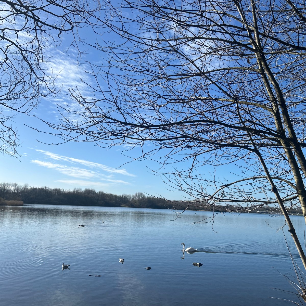 Things I’m loving recently…